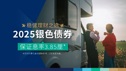 2025 银色债券